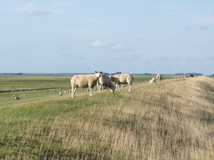 Bio Hotel Nordsee