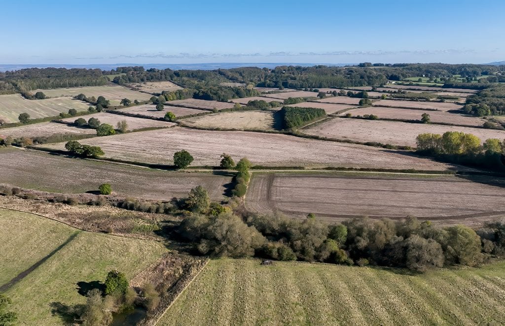 Bog Hall Habitat Bank Castle Howard