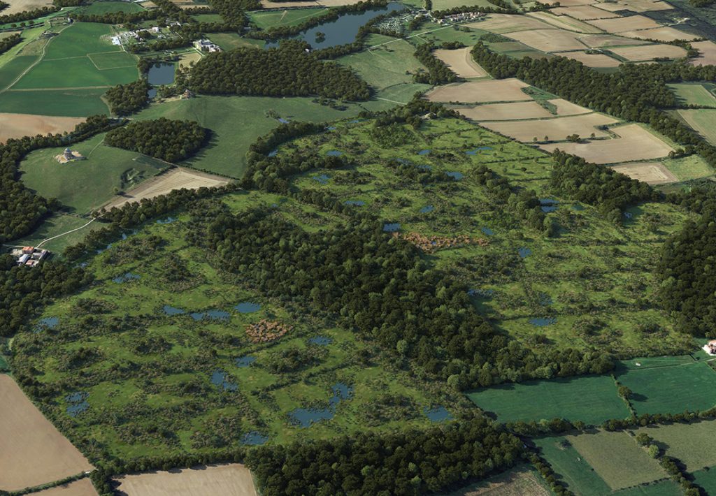 Bog Hall Habitat Bank Castle Howard