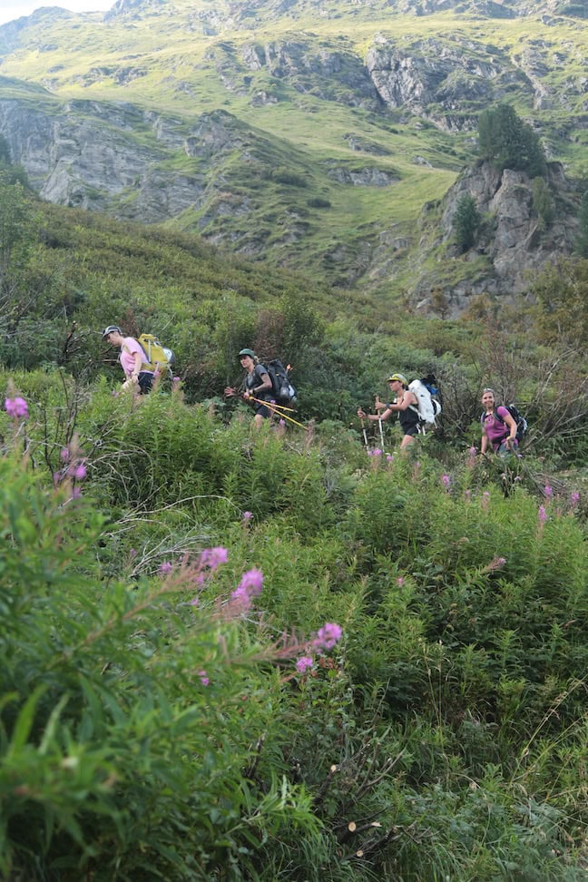 Wandernde im einer alpinen Blumenwiese