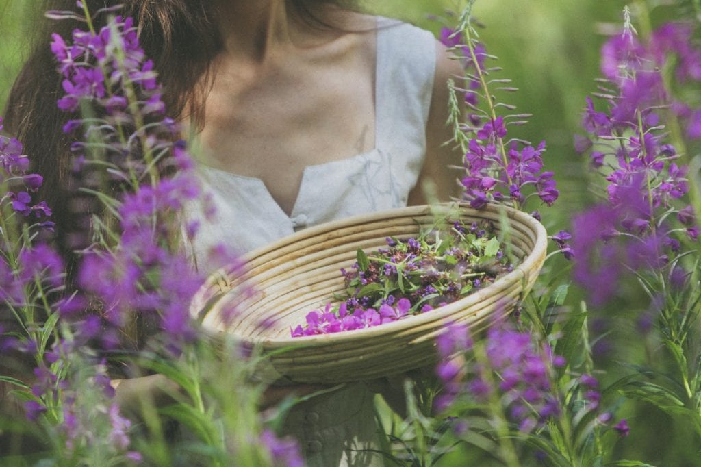Clean Beauty aus Skandinavien