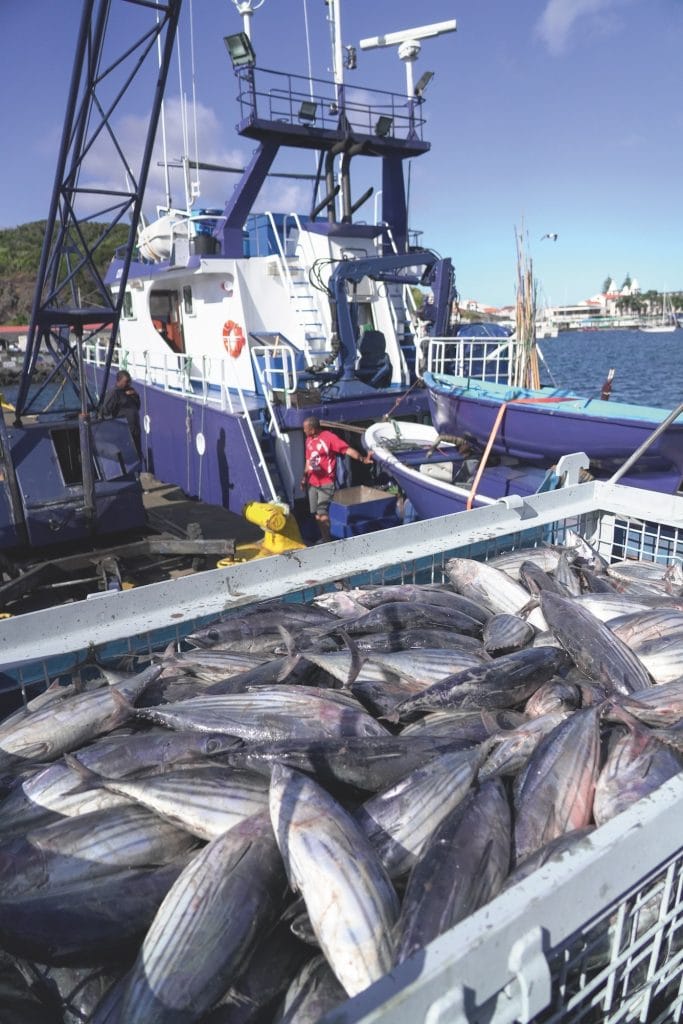 Durch die Pole+Line-Fishery wird Beifang vermieden und Überfischung quasi ausgeschlossen.