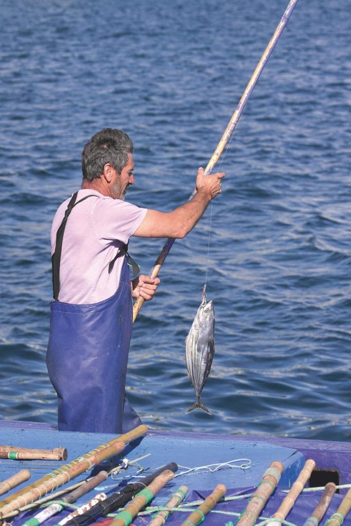 Ein Fischer fängt einen Fisch mit Angelrute