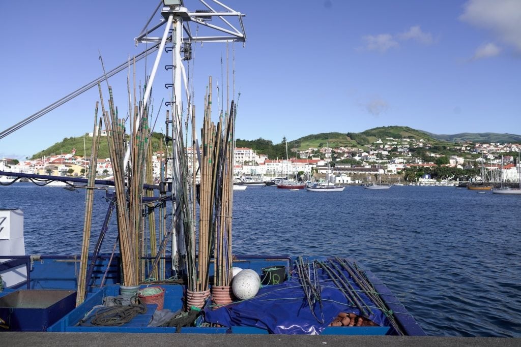Naturland zertifizierter Fischfang findet nach dem Pole+Line-Prinzip statt.